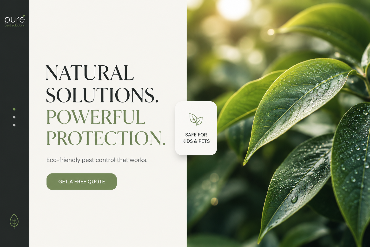 pure pest solutions — concept design